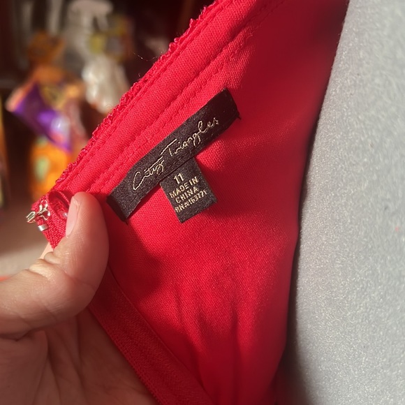 Red spaghetti strap lace David’s Bridal Gown - Picture 5 of 5